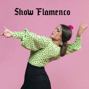 show flamenco madrid